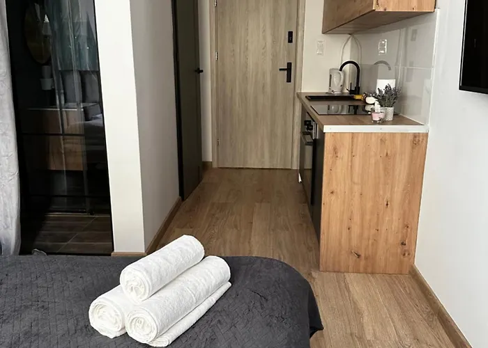 Niron Apartament Dabrowskiego