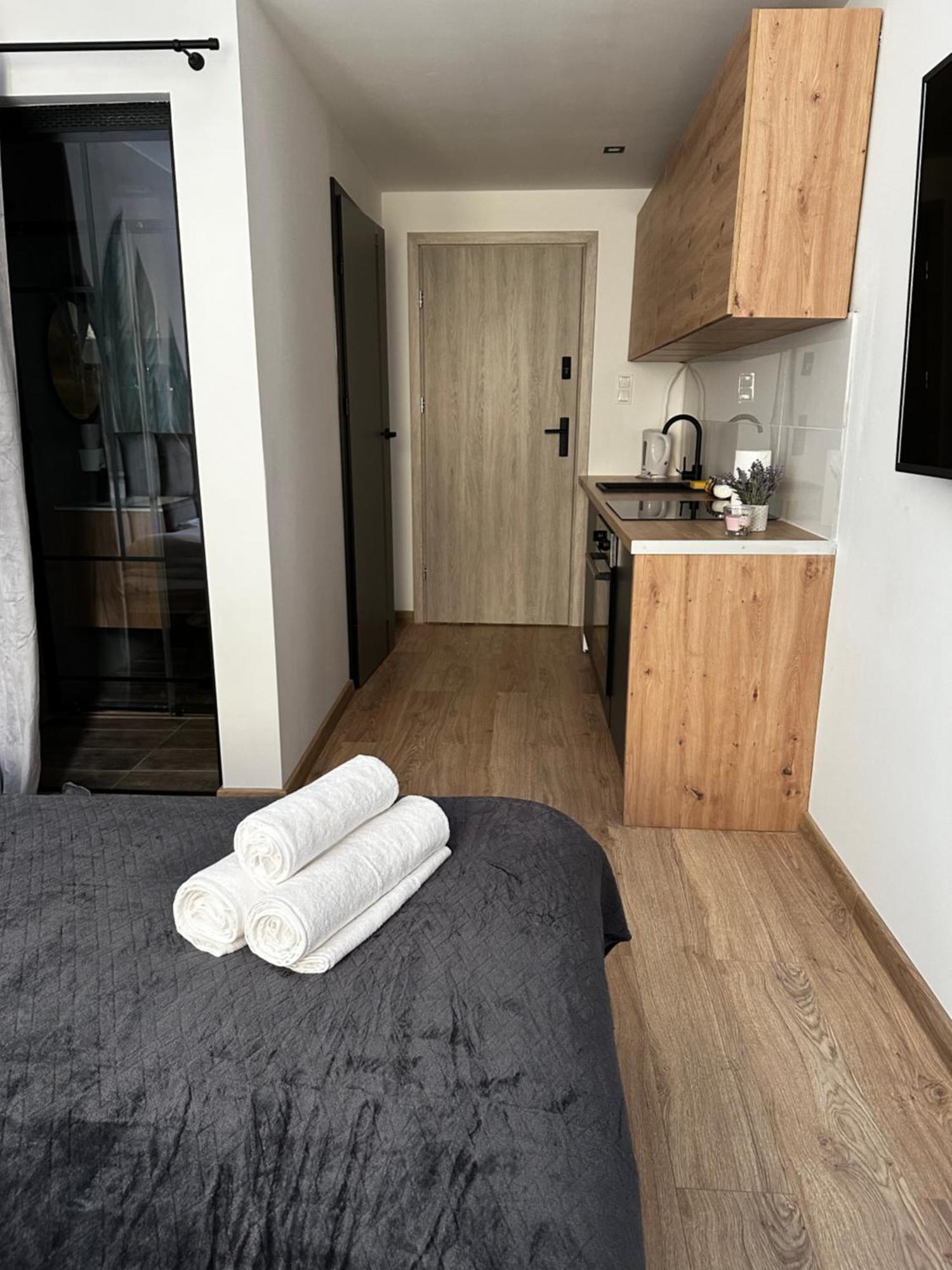 Niron Dabrowskiego Apartment